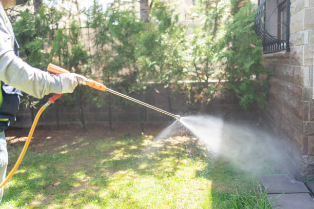 Best Mosquito Control Services  in Shenandoah Junction, WV