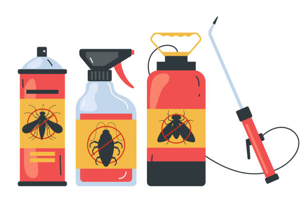 Best Wasp Removal Services  in Shenandoah Junction, WV